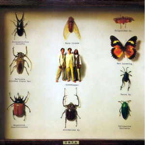 大雷擦大狙软件免费视频大全
