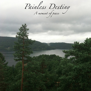 大雷擦大狙软件免费视频大全
