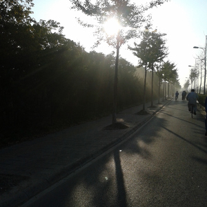 大雷擦大狙软件免费视频大全
